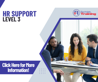 HR Support Level 3 Standard Overview Graphic