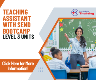 Teaching Assistant Bootcamp Overview Graphic 