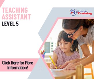 Teaching Assistant - Graphic