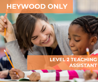 Teaching Assistant